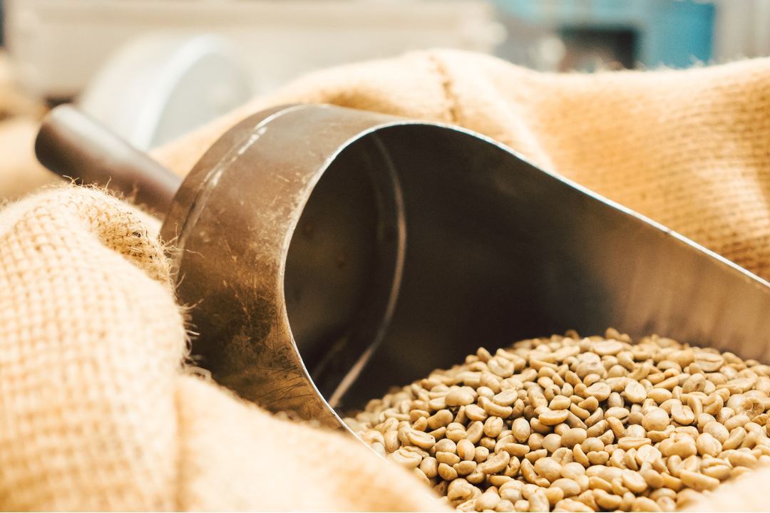 How to Build a Winning Wholesale Program for Coffee - De La Finca Coffee Importers
