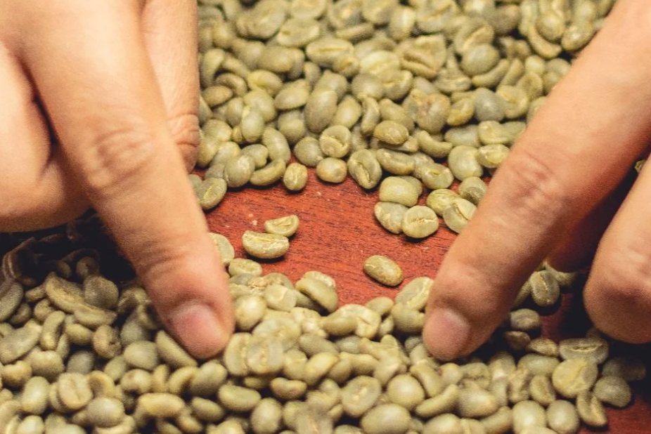 Washed Coffee Method - De La Finca Coffee Importers