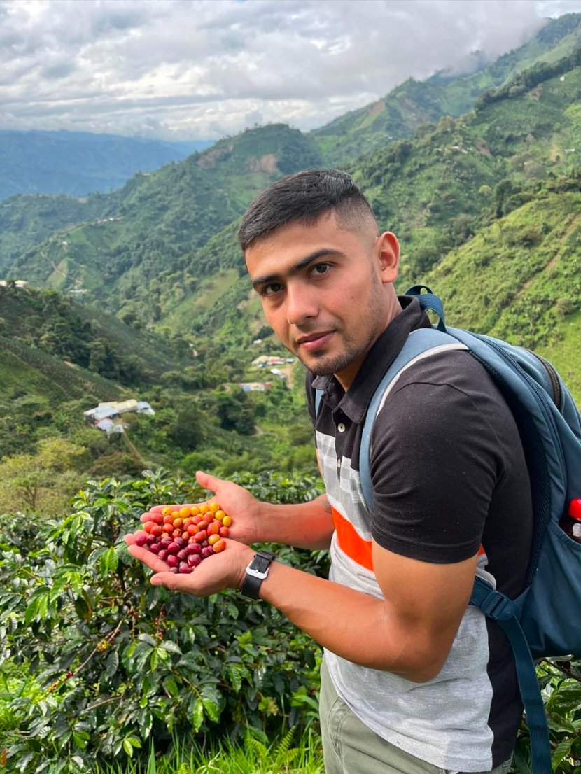 La Manoa -  South Tolima - Washed | Colombia