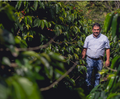 Las Botijas | Washed Pacamara| Honduras