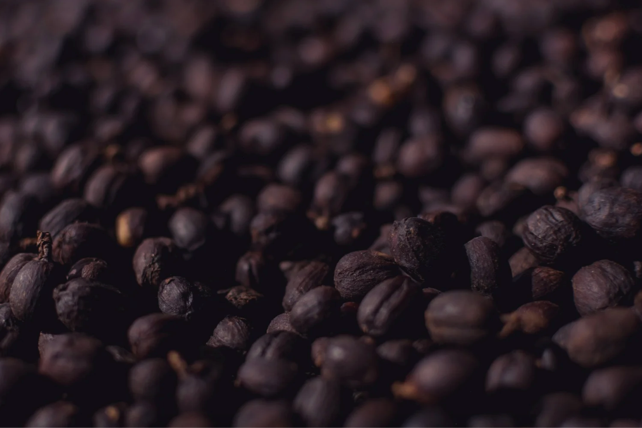 Natural Processing Method - De La Finca Coffee Importers