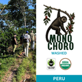Mono Choro Grade 1 FTO | Peru