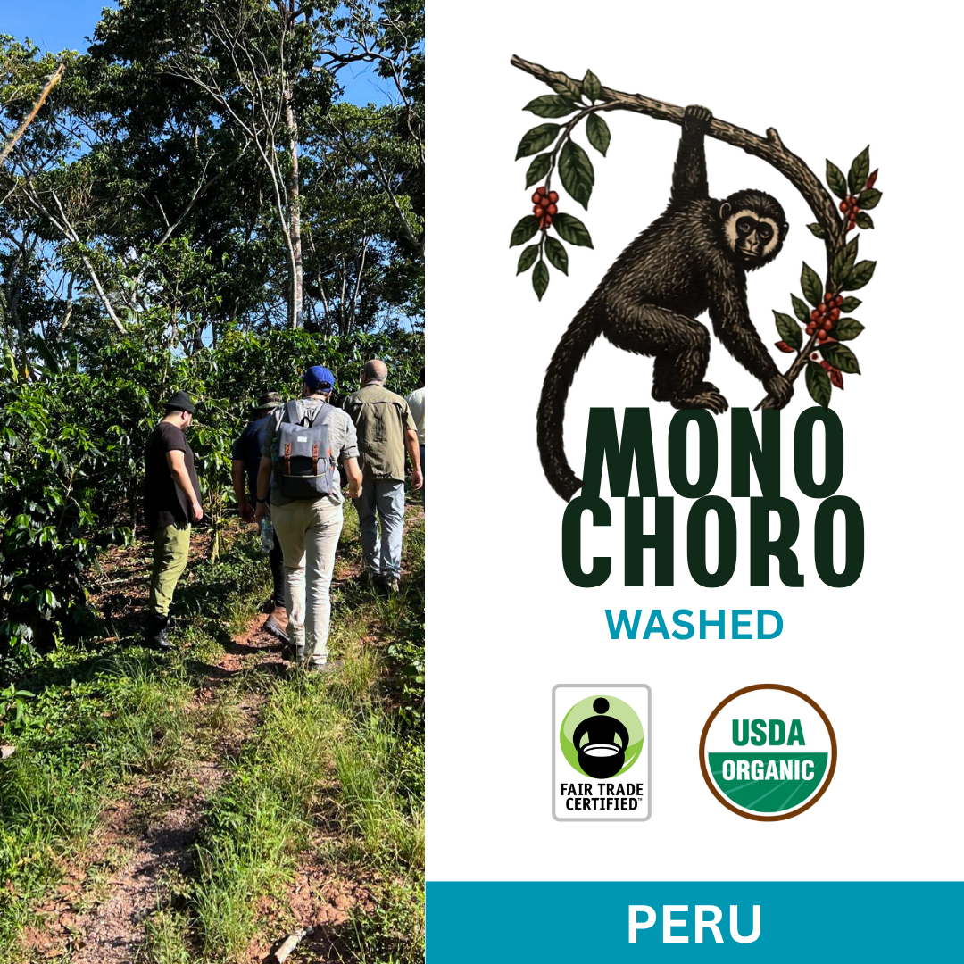 Mono Choro Grade 1 FTO | Peru